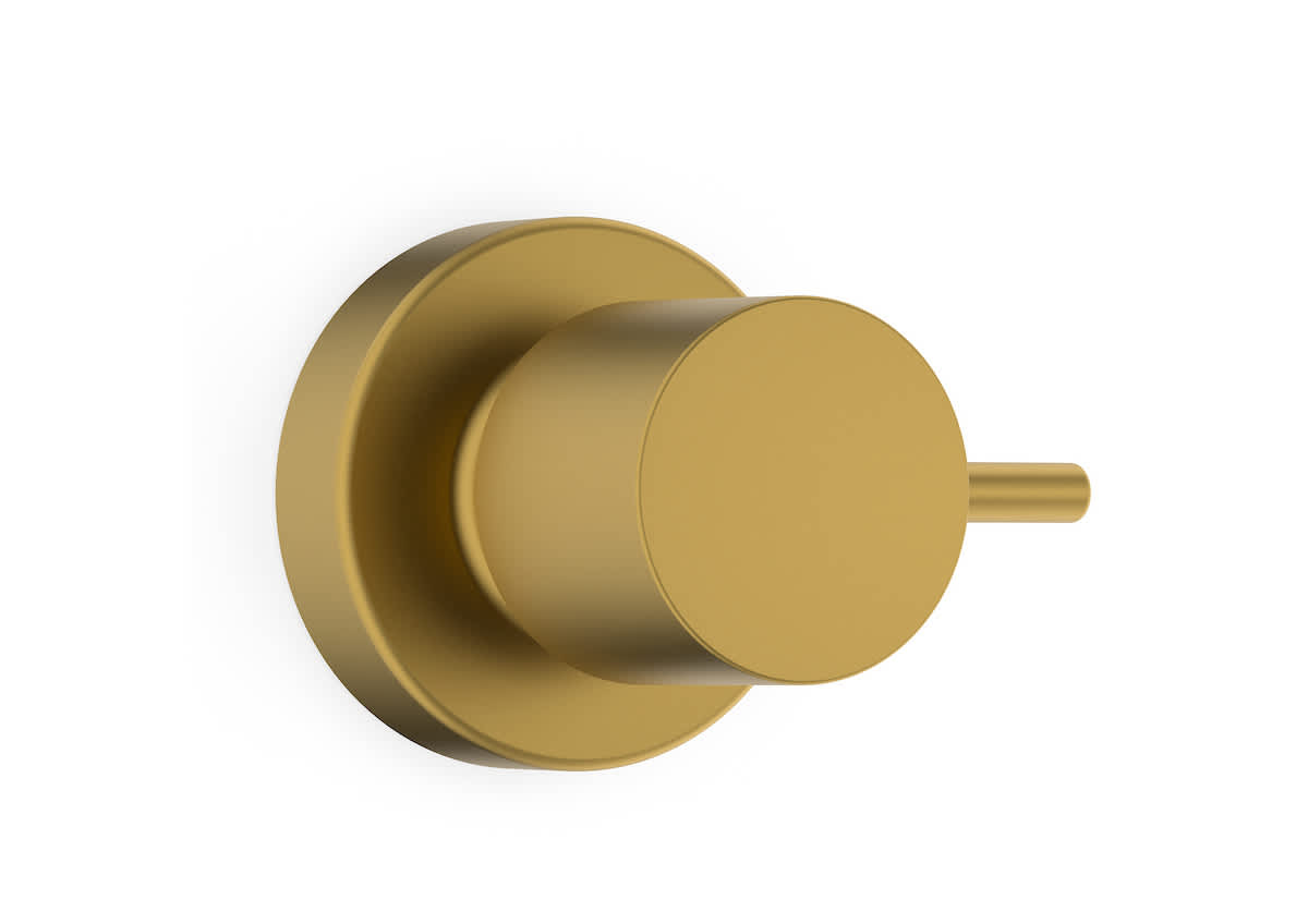 Acabamentos de registro Gold Matte BASIC B5051C7R1B Celite