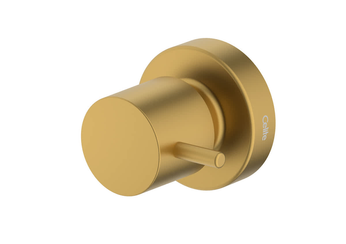 Acabamentos de registro Gold Matte BASIC B5051C7R1B Celite